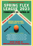 Spring Flex League Poster