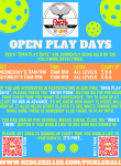 Open Play Poster NEW