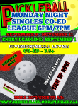 Monday Night Singles Co-Ed League 2024 Poster